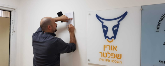 השמה פיננסית